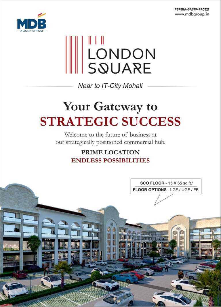 WhatsApp Image 2025-08-08 at 2.52.42 PM